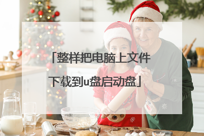 整样把电脑上文件下载到u盘启动盘
