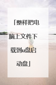 整样把电脑上文件下载到u盘启动盘