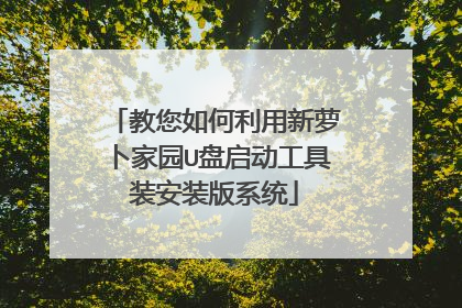 教您如何利用新萝卜家园U盘启动工具装安装版系统