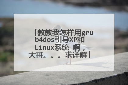 教教我怎样用grub4dos引导XP和Linux系统 啊,大哥。。。求详解