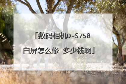 数码相机D-S750白屏怎么修 多少钱啊