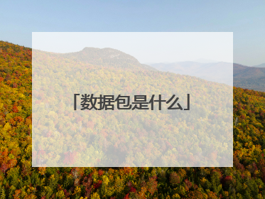 数据包是什么