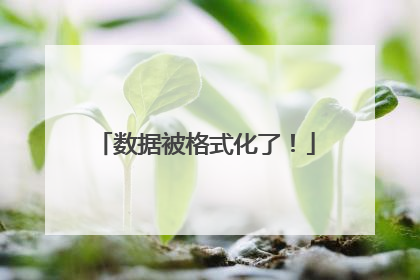 数据被格式化了!