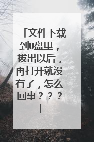 文件下载到U盘里,拔出以后,再打开就没有了,怎么回事???