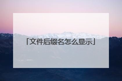 文件后缀名怎么显示