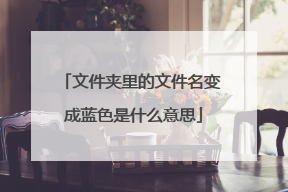 文件夹里的文件名变成蓝色是什么意思