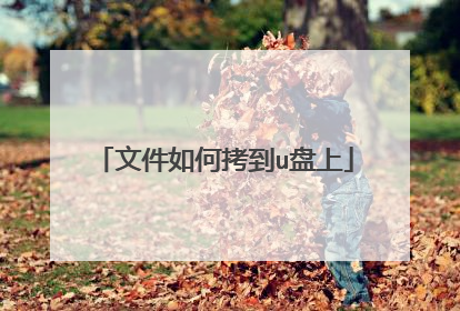 文件如何拷到u盘上