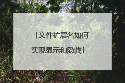 文件扩展名如何实现显示和隐藏