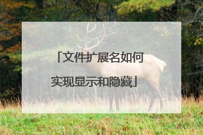 文件扩展名如何实现显示和隐藏