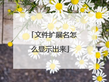 文件扩展名怎么显示出来