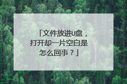 文件放进U盘,打开却一片空白是怎么回事?
