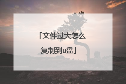 文件过大怎么复制到u盘