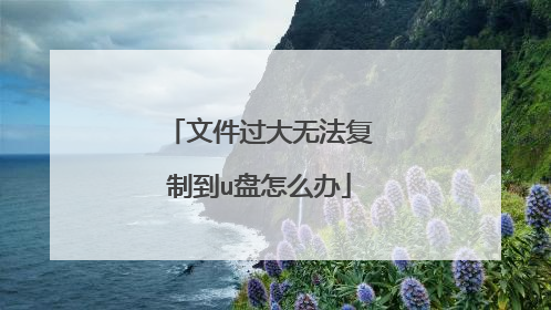 文件过大无法复制到u盘怎么办