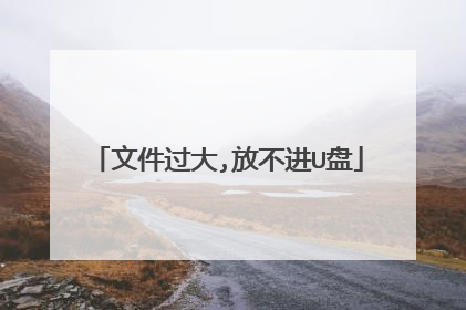 文件过大,放不进U盘