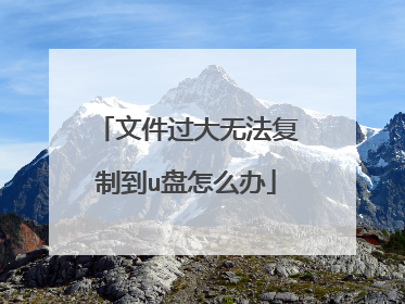 文件过大无法复制到u盘怎么办