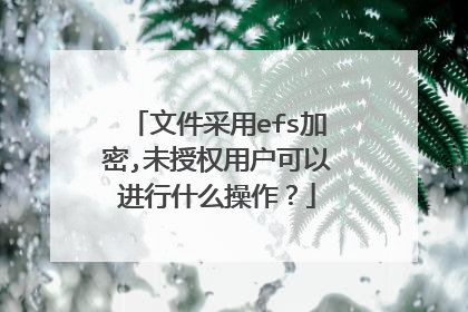 文件采用efs加密,未授权用户可以进行什么操作？