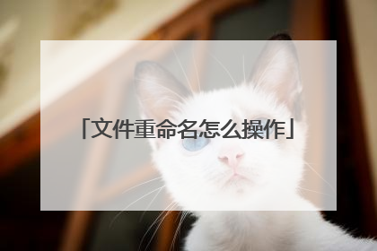 文件重命名怎么操作