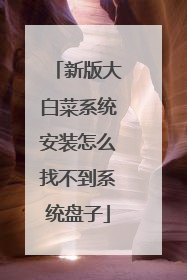 新版大白菜系统安装怎么找不到系统盘子