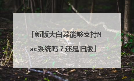 新版大白菜能够支持Mac系统吗?还是旧版