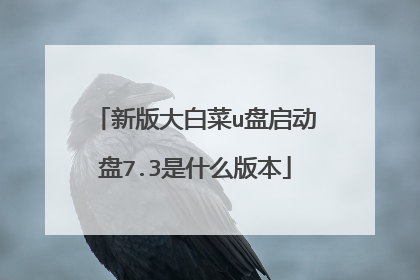 新版大白菜u盘启动盘7.3是什么版本