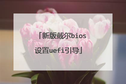 新版戴尔bios设置uefi引导