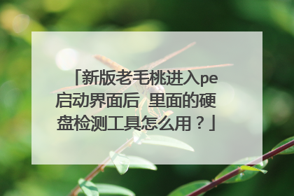 新版老毛桃进入pe启动界面后 里面的硬盘检测工具怎么用?