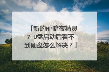 新的HP暗夜精灵7 U盘启动后看不到硬盘怎么解决？