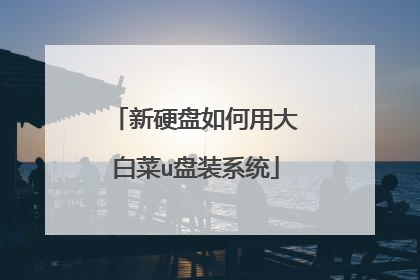 新硬盘如何用大白菜u盘装系统