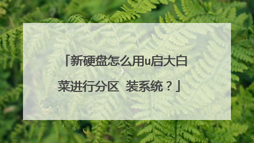 新硬盘怎么用u启大白菜进行分区 装系统？