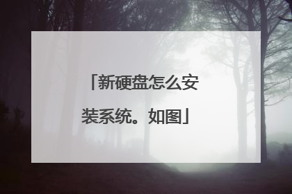新硬盘怎么安装系统。如图