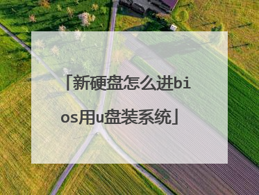 新硬盘怎么进bios用u盘装系统