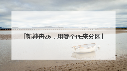 新神舟Z6,用哪个PE来分区
