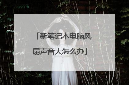 新笔记本电脑风扇声音大怎么办