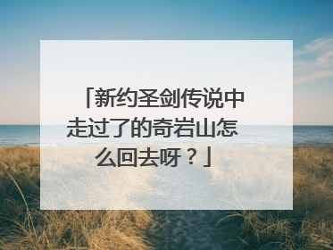 新约圣剑传说中走过了的奇岩山怎么回去呀？