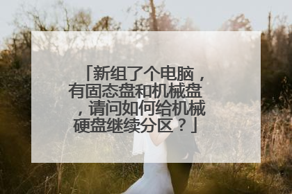 新组了个电脑,有固态盘和机械盘,请问如何给机械硬盘继续分区?