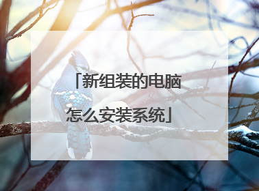 新组装的电脑怎么安装系统