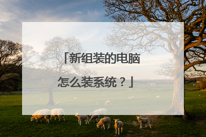 新组装的电脑怎么装系统?