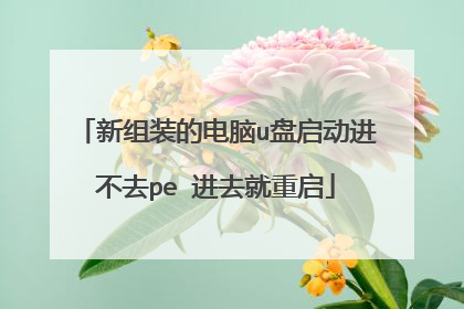 新组装的电脑u盘启动进不去pe 进去就重启