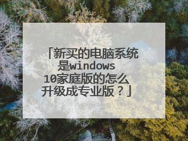 新买的电脑系统是windows10家庭版的怎么升级成专业版?