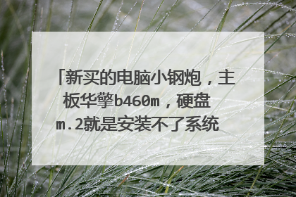 新买的电脑小钢炮,主板华擎b460m,硬盘m.2就是安装不了系统,而且还无法进系统进pe,不显示盘?