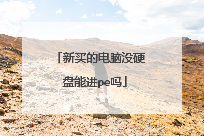 新买的电脑没硬盘能进pe吗