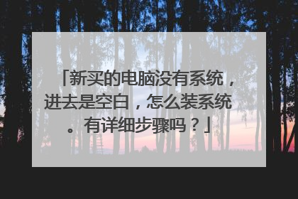 新买的电脑没有系统,进去是空白,怎么装系统。有详细步骤吗?
