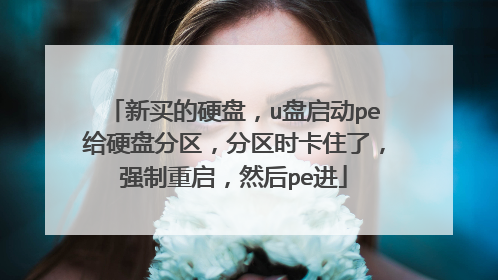 新买的硬盘，u盘启动pe给硬盘分区，分区时卡住了，强制重启，然后pe进