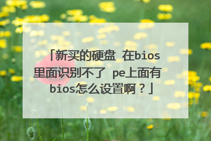 新买的硬盘 在bios里面识别不了 pe上面有 bios怎么设置啊？