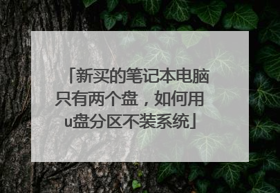 新买的笔记本电脑只有两个盘,如何用u盘分区不装系统