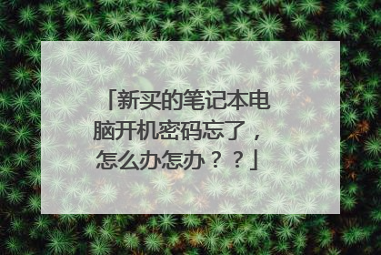 新买的笔记本电脑开机密码忘了,怎么办怎办??