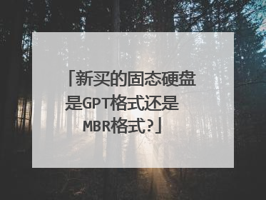新买的固态硬盘是GPT格式还是MBR格式?