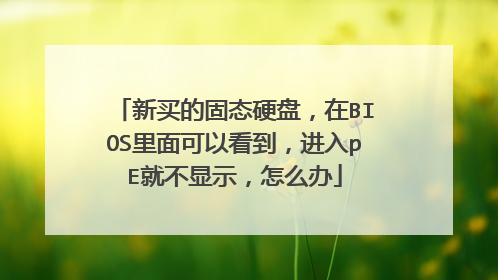新买的固态硬盘,在BIOS里面可以看到,进入pE就不显示,怎么办