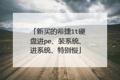 新买的希捷1t硬盘进pe、装系统、进系统、特别慢