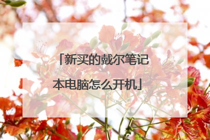 新买的戴尔笔记本电脑怎么开机